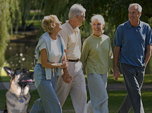 Beau joins the walkers