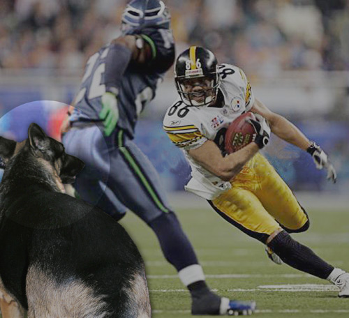 Beau butts in for the Steelers
