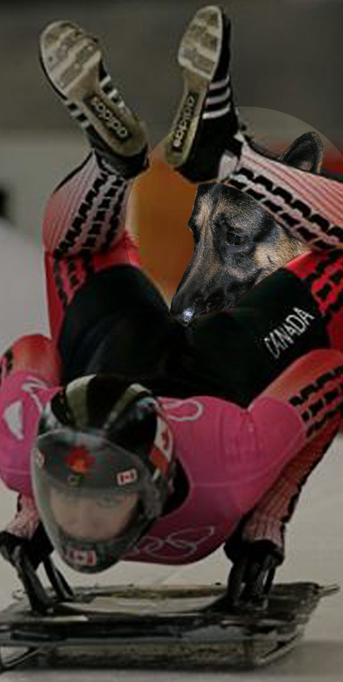 Beau bops the bobsledder