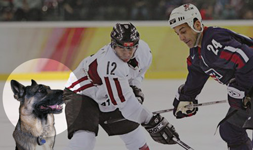 Beau hinders the hockey guy