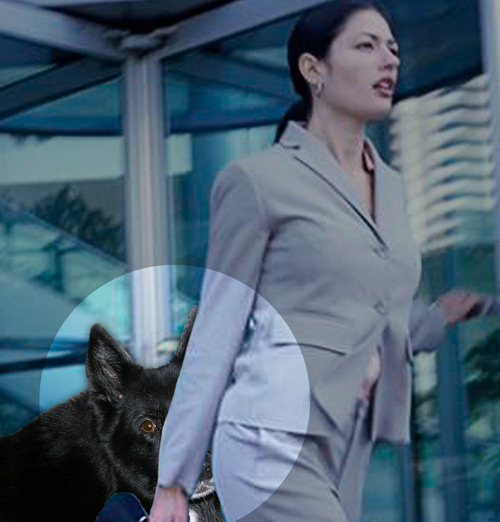 Sammi means business, sniffin' a business woman