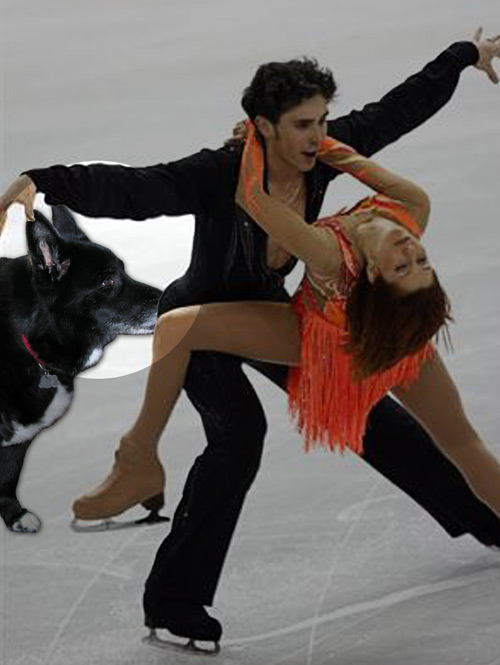 Sammi distracts the skaters