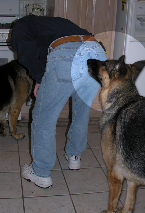Zima tries to get Dad's attention
