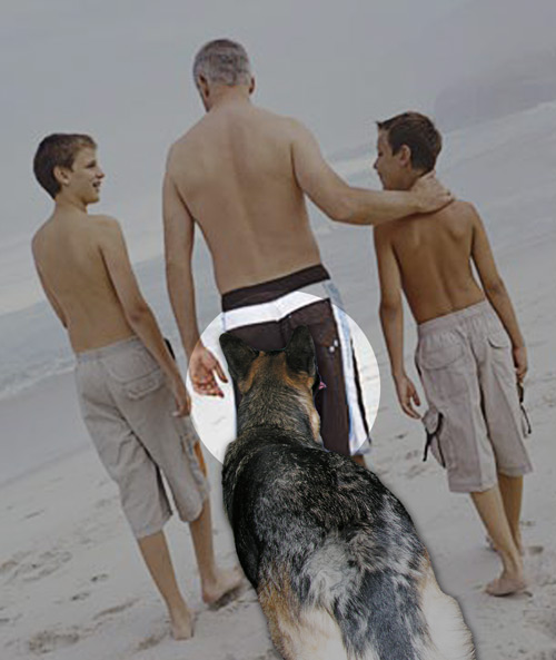 Zima has bum sniffin' fun at the beach